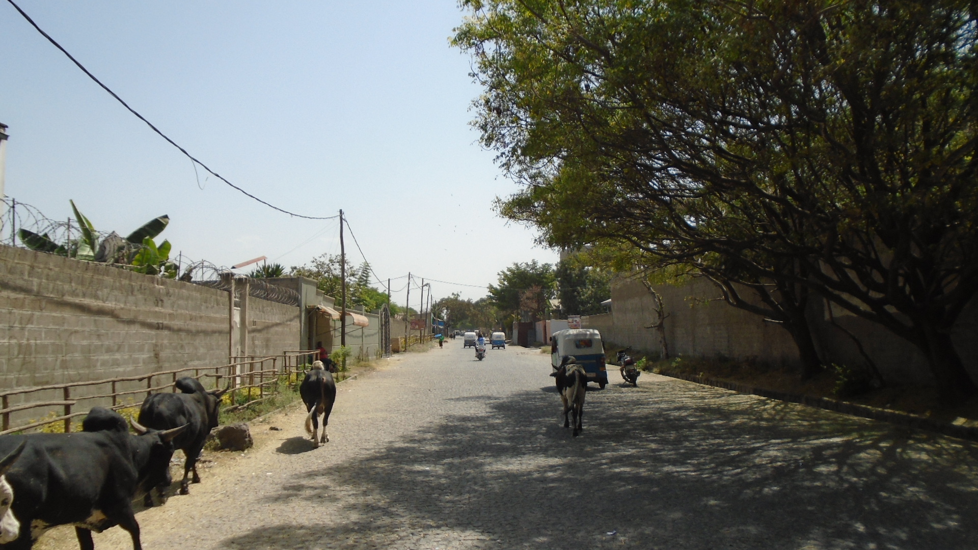 Korritown – In den Straßen von (H)awassa